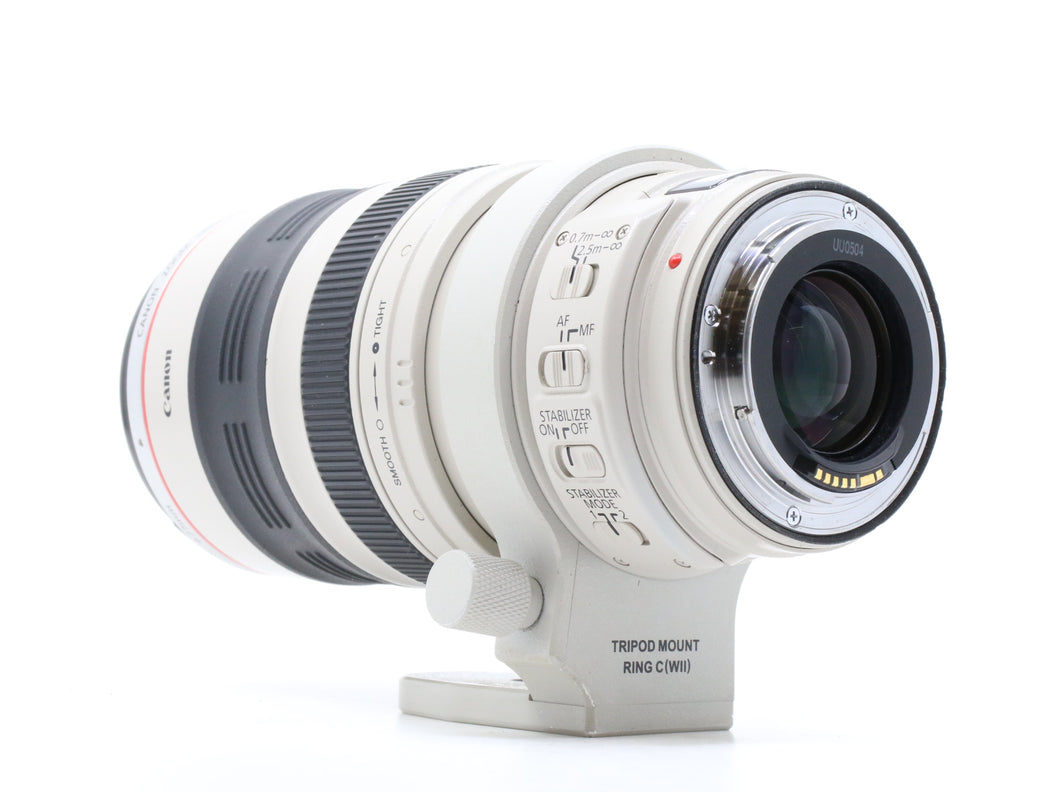 Canon 28-300mm, f3.5-5.6L