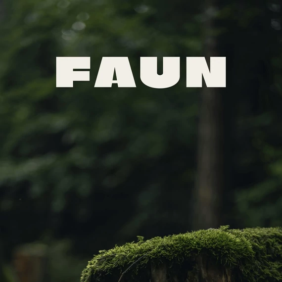 FAUN illatgyertya