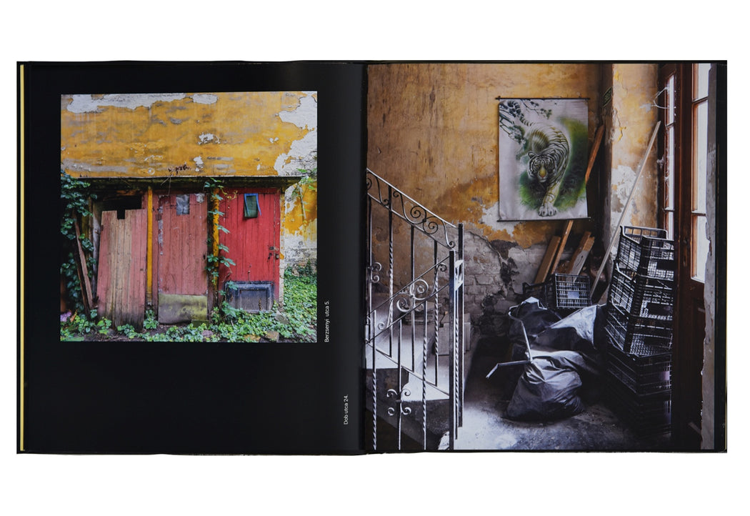 Vincent Baumgartner: BUILDINGS TELL TALES – Budapest rejtett kincsei / Budapest's Hidden Treasures / Les trésors cachés de Budapest